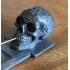 Wierookbrander skull